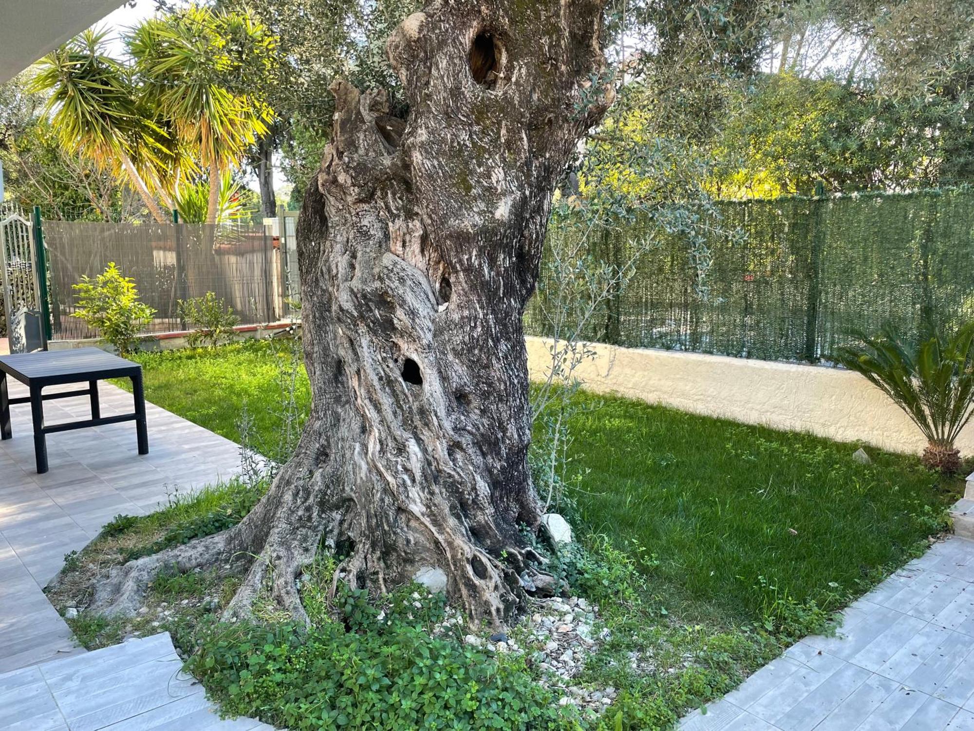 Joli Rez De Jardin 4 Pieces A Cagnes Sur Mer Eksteriør bilde